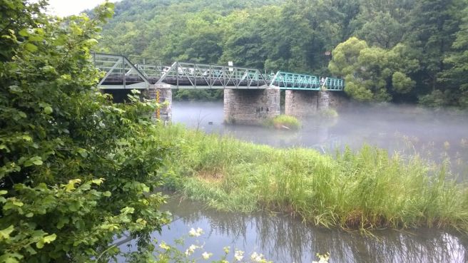 thaybrucke-nebel-800p