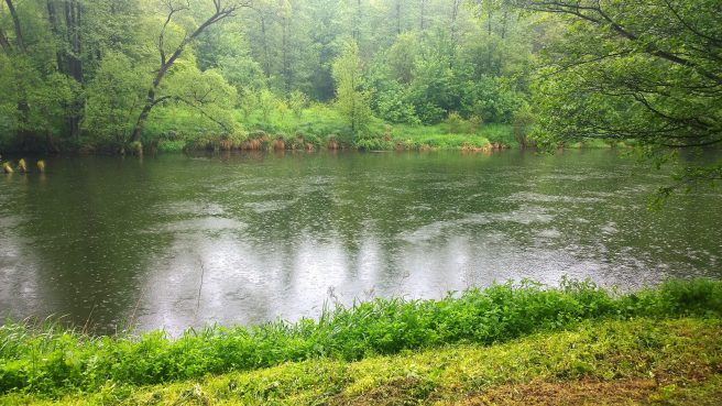 wp_20140517_17_09_05_pro