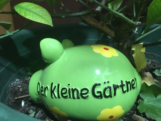 der-kleine-gartner