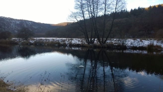 wp_20170205_090