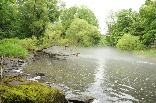 Thaya_Nebel BR Ch.Übl