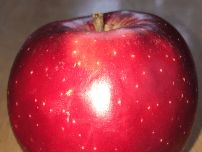 Apfel rot