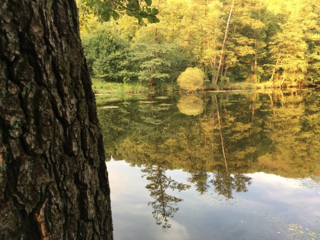 Hardegg Thaya goldener Herbst bei Nock 1