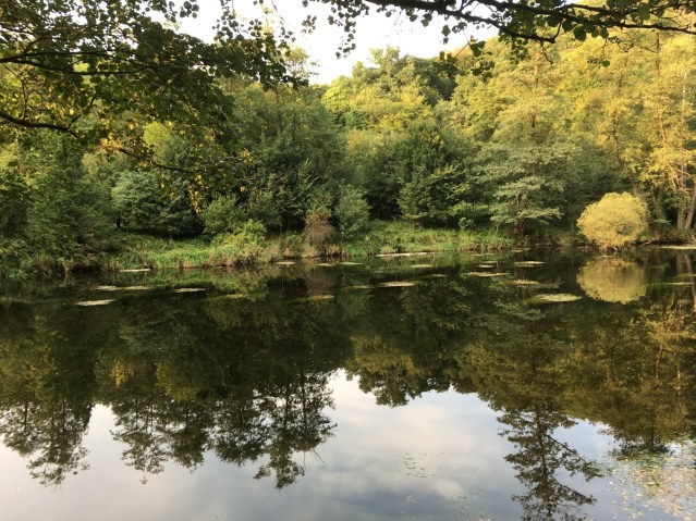 Hardegg Thaya goldener Herbst bei Nock