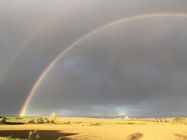 REgenbogen links