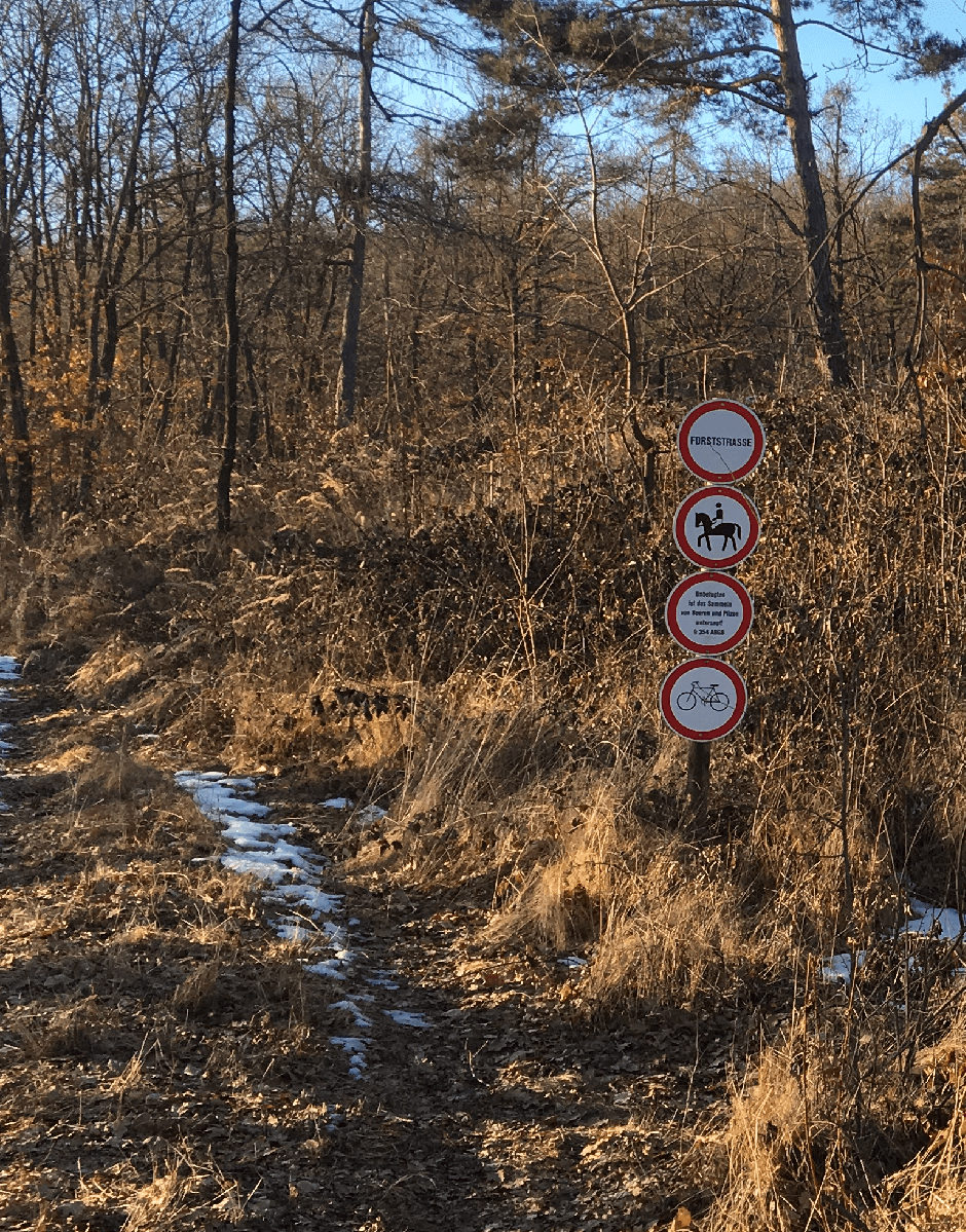 Windmühle Retz Hofern Kaja Verbot.png