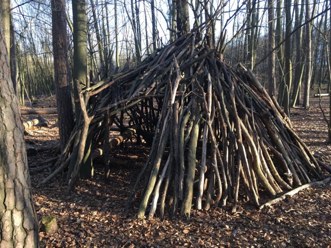 NP Thayatal Wohnen im Wald 2