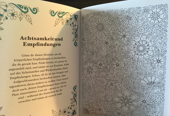 buch-achtsamkeitsbegleiter-auszug.jpg