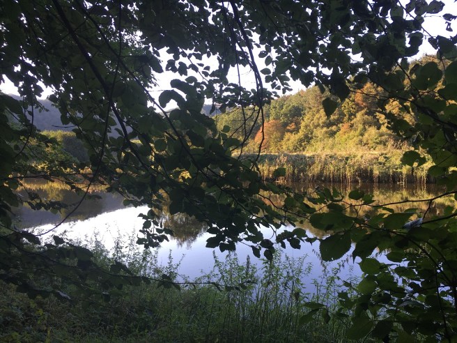 Herbst Thayatal III 2