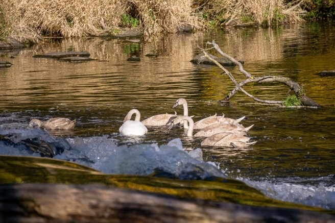 221b46eb-9610-4845-adf4-8cec7a557481