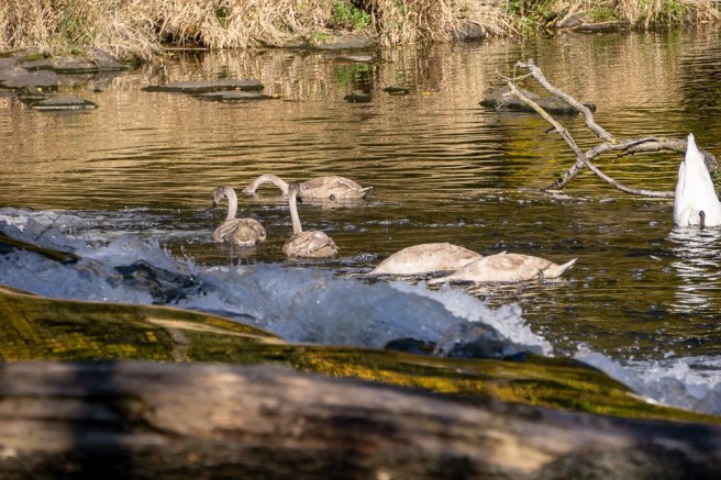 7542d4e4-b8e1-4f89-9900-22604f3dcfb1