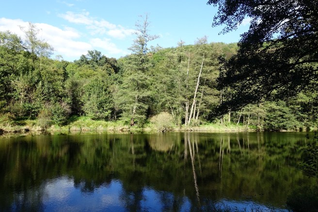 Hardegg Spiegelung 2