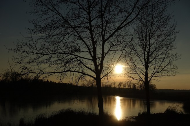 goldene Abendsonne III 1