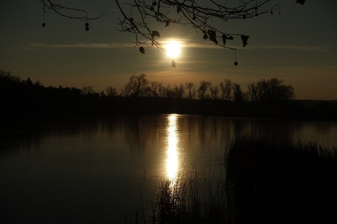 goldene Abendsonne III 2