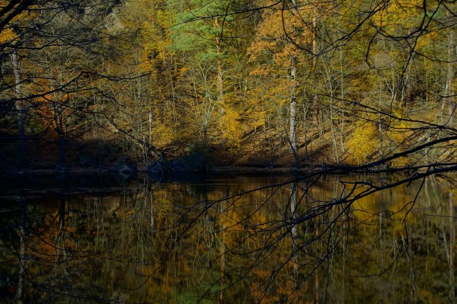 Spiegelungen Kaja Teich 1