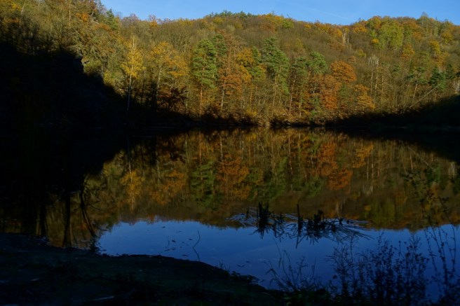 Spiegelungen Kaja Teich 2