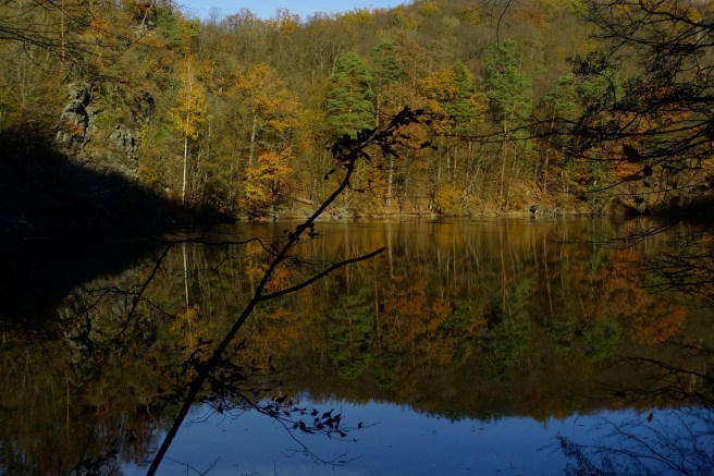 Spiegelungen Kaja Teich 3
