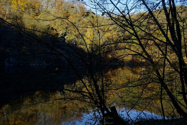 Spiegelungen Kaja Teich 4