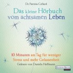 CD Hörbuch vom achtsamen Leben 350